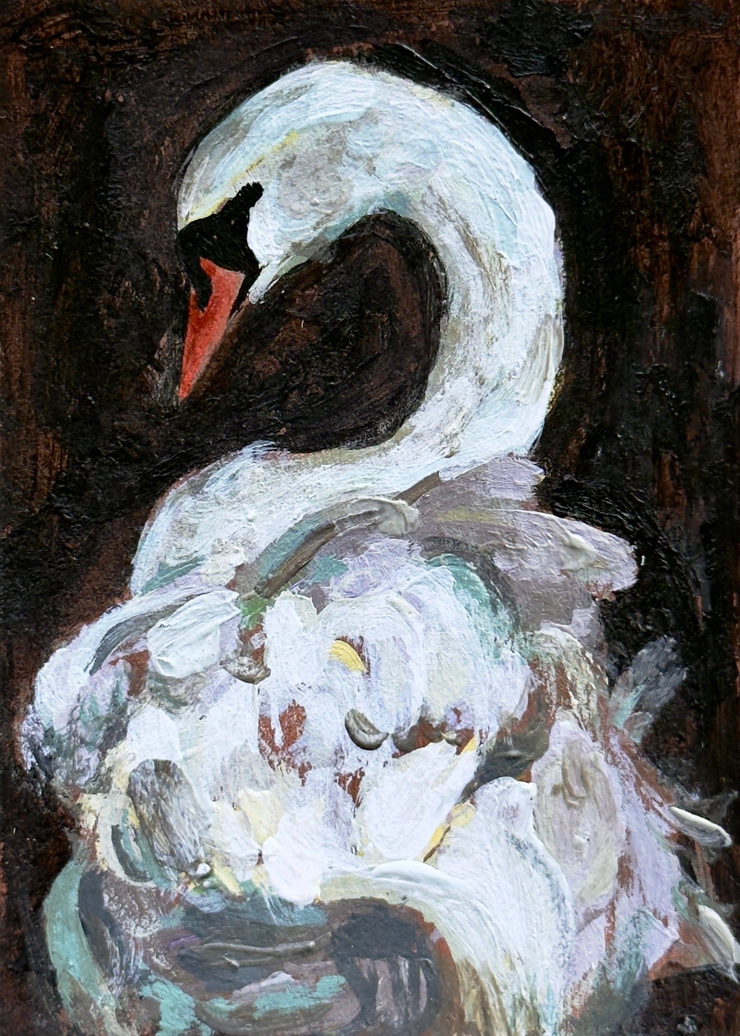 Swan No. 5