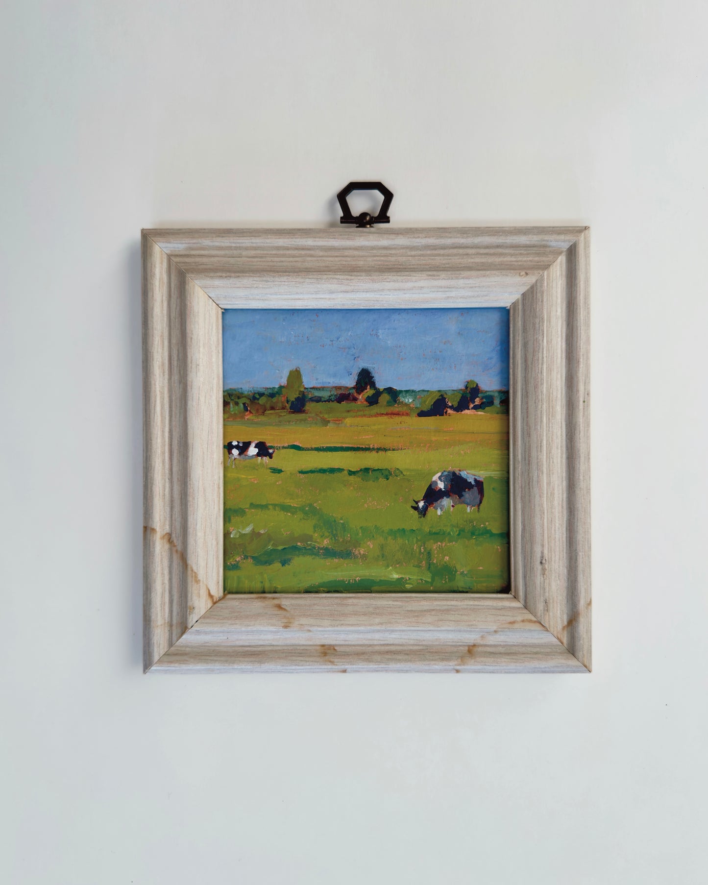 Two Cows in a Field