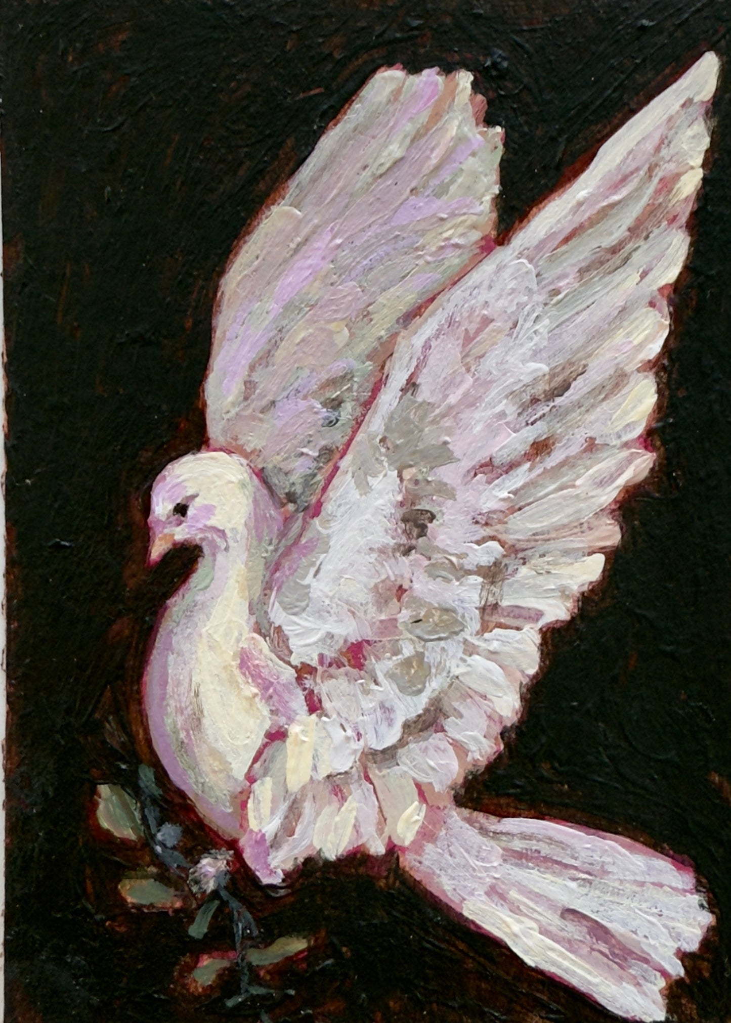 Peace Dove