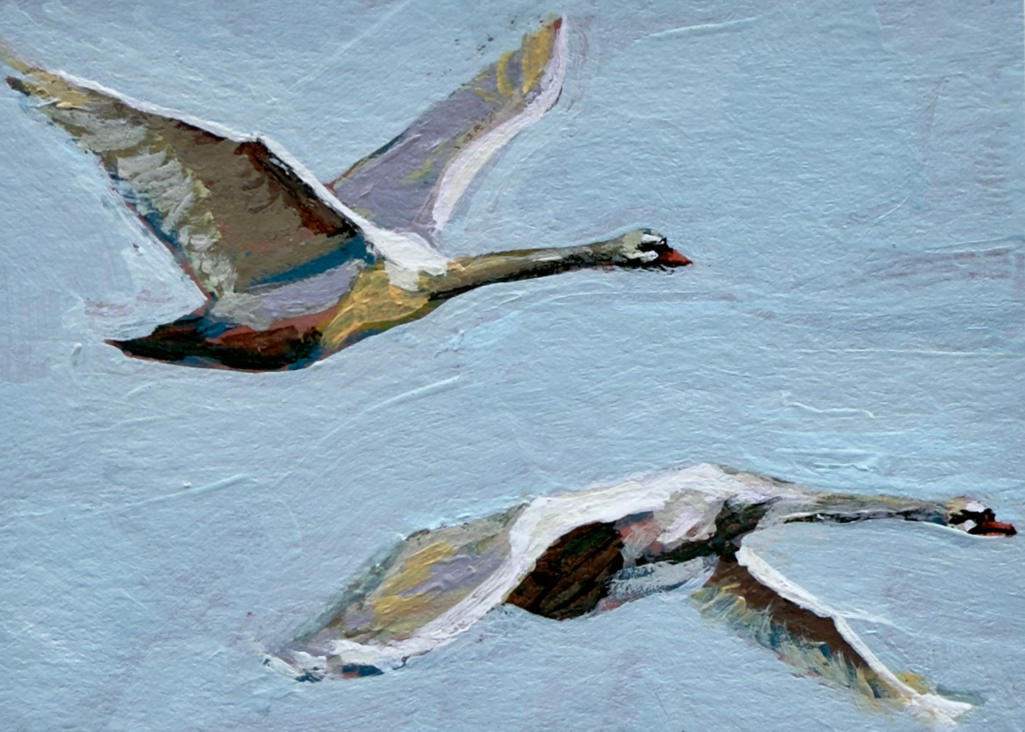 Swans in Flight