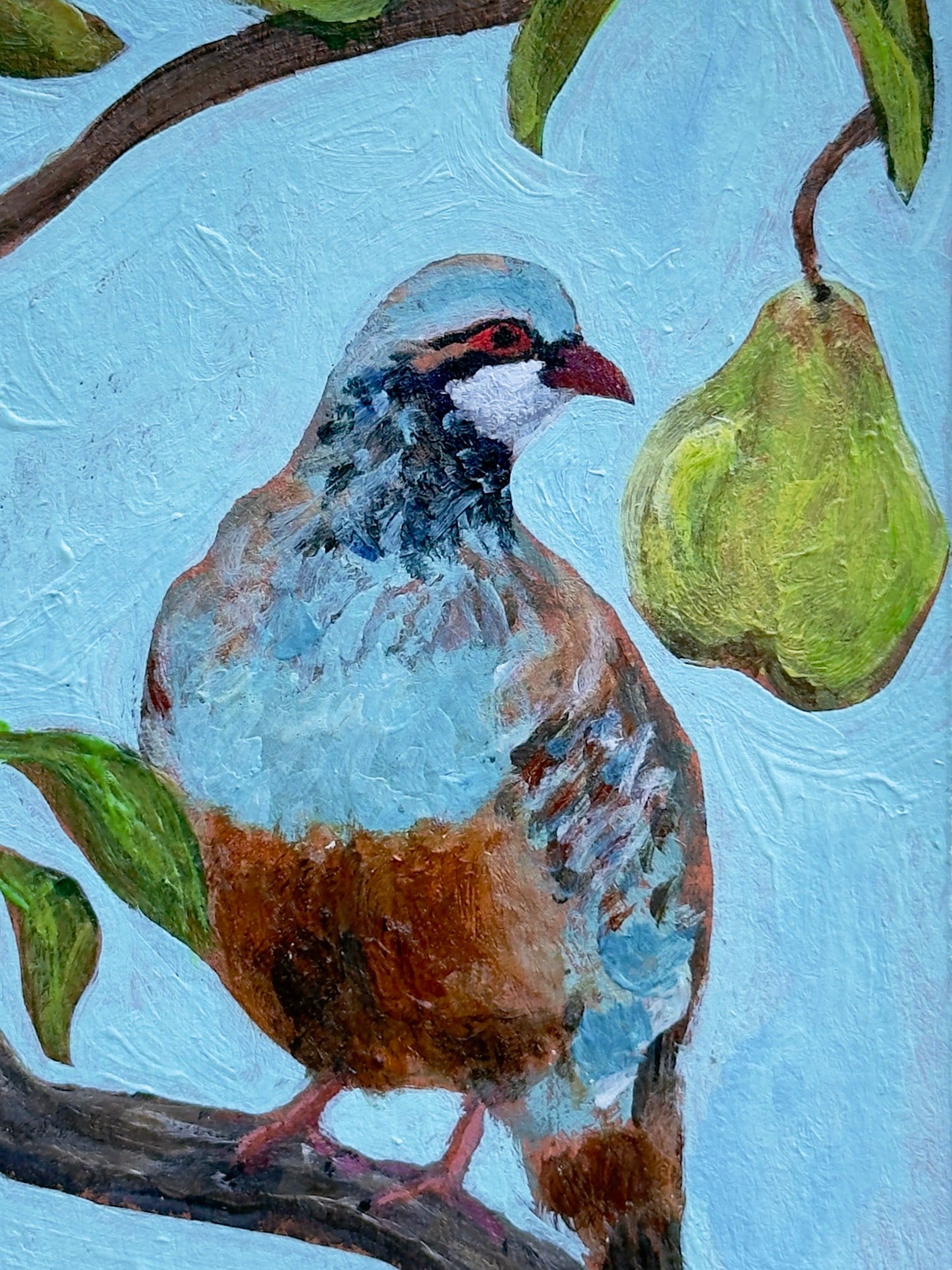 Partridge in a Pear Tree