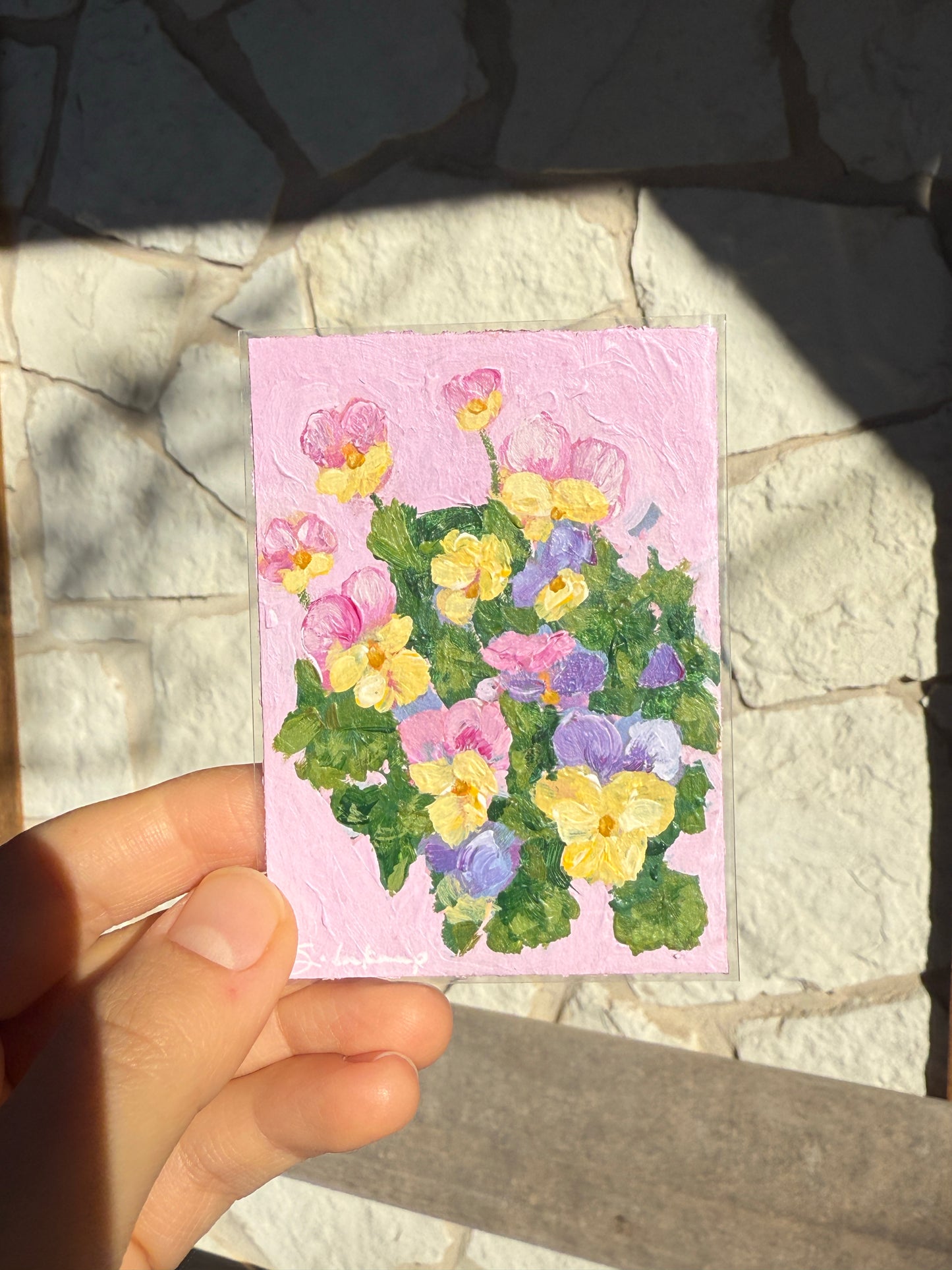 Pansies No. 1