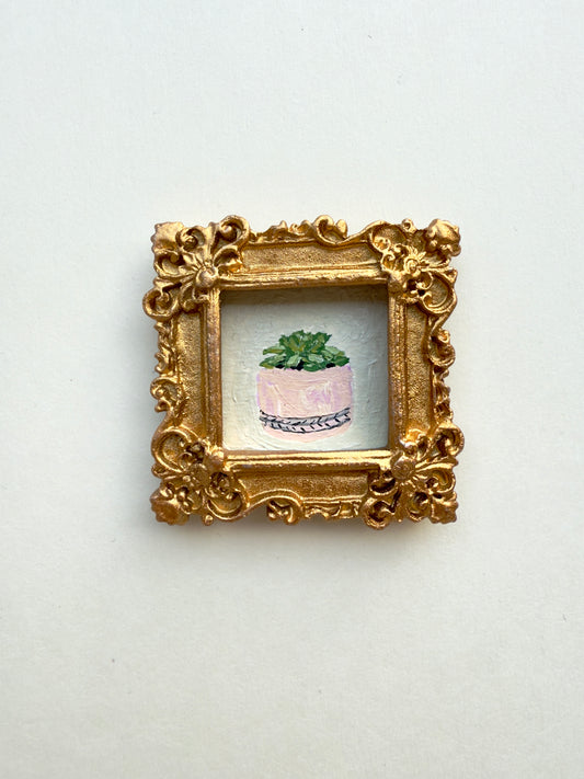 Succulent