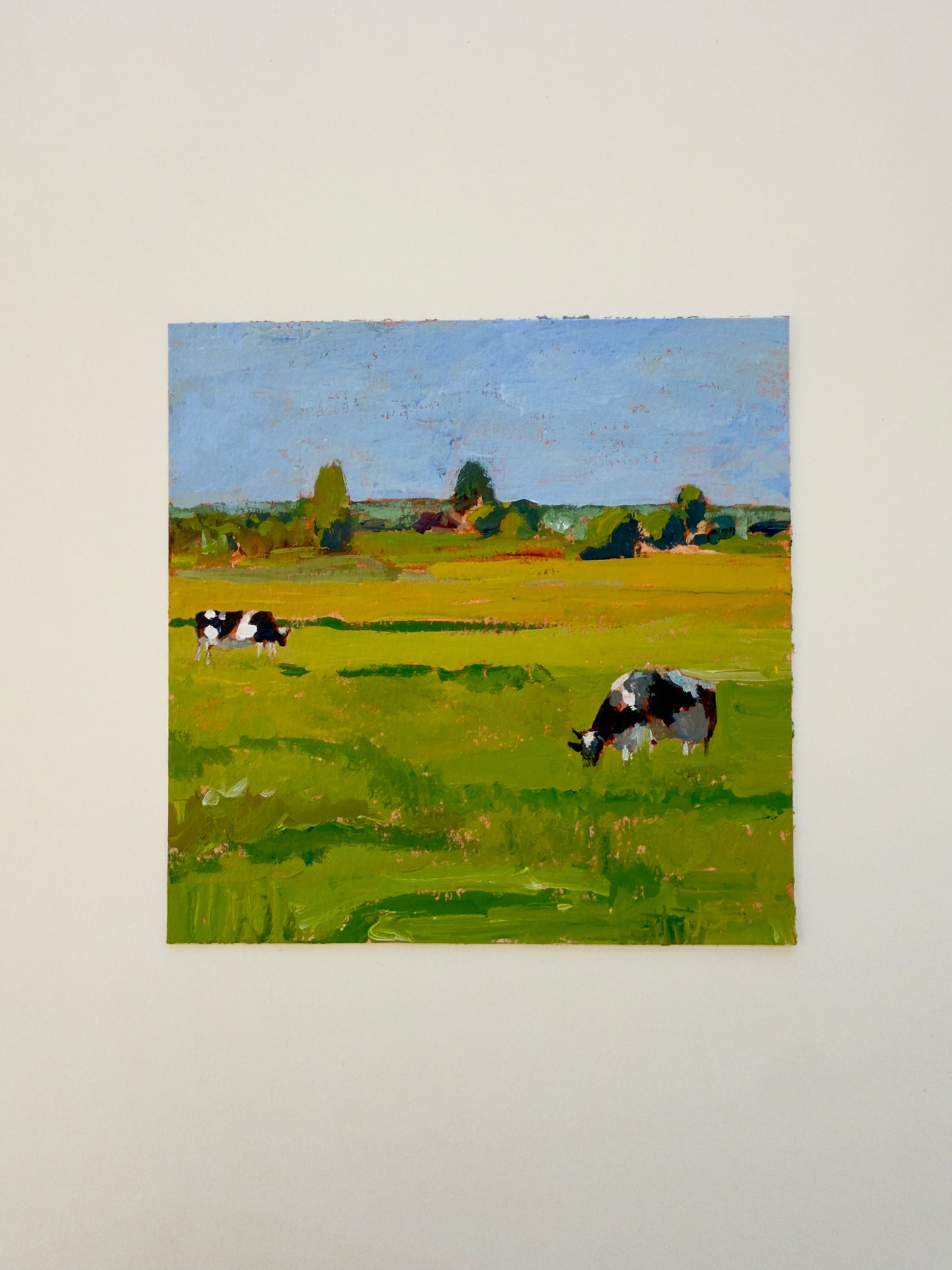 Two Cows in a Field