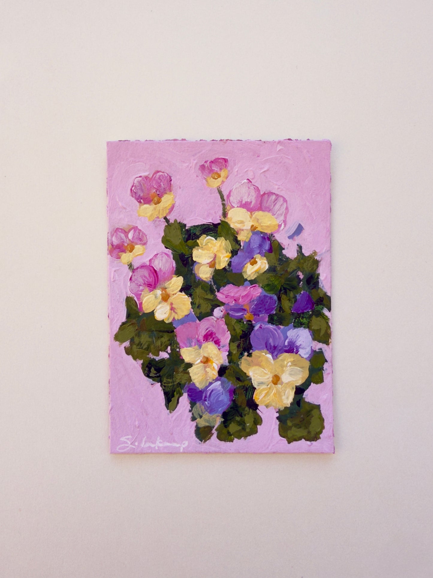 Pansies No. 1
