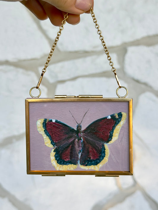 Mourning Cloak Butterfly