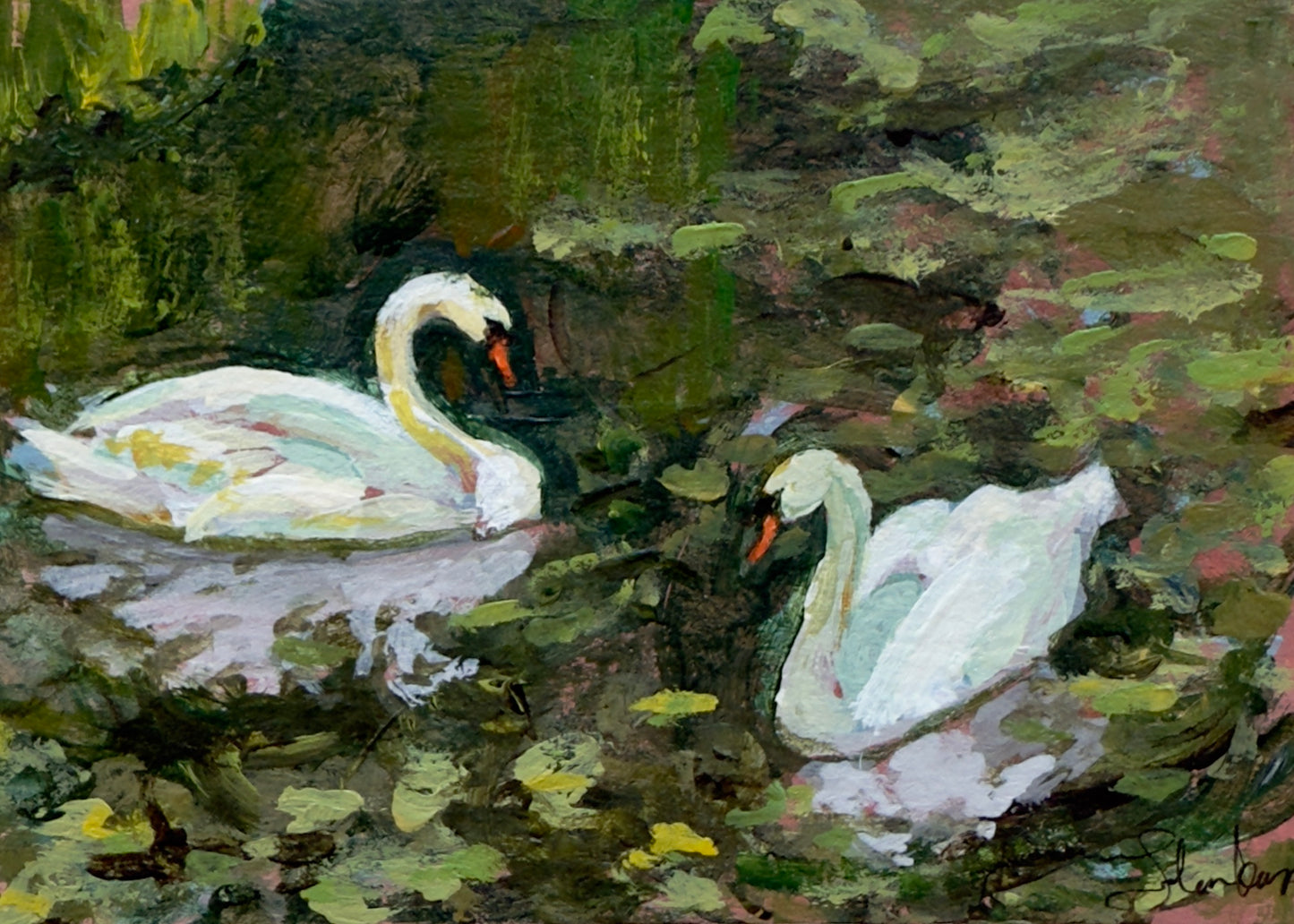 Two Swans at Rest